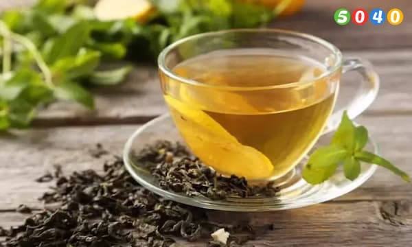 دمنوش چای سبز 5040 برای  لاغری